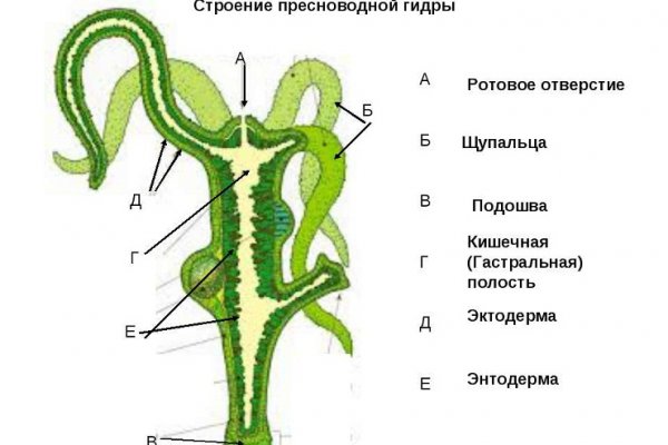 Зеркало для входа на сайт omg omg